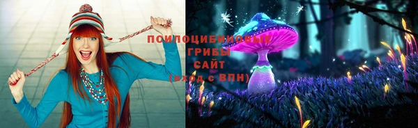 твердый Алзамай