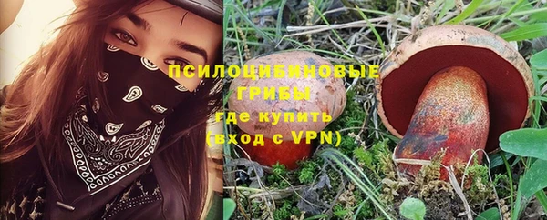 ECSTASY Алексин