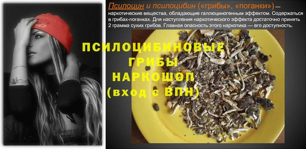 твердый Алзамай