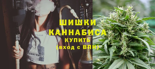 гашик Надым