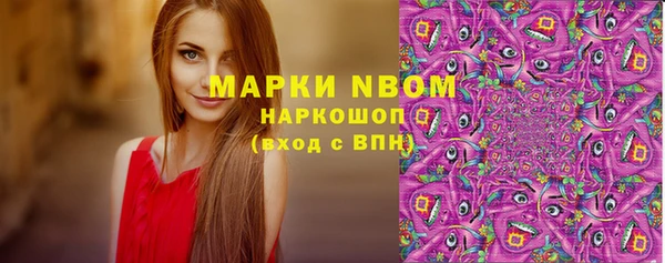 твердый Алзамай